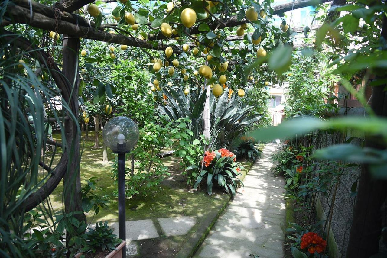 Bed and Breakfast Anthea Sorrento Exteriér fotografie